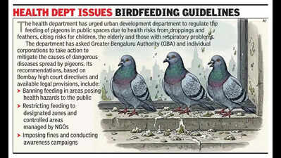Pigeon peril in Bengaluru: DK Shivakumar denies health risk, doctors flag cases in city