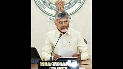 Naidu leaves for Delhi after collectors’ meet