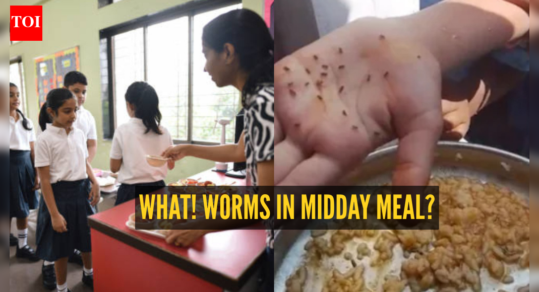 Worms found in midday meal at govt school in Karnataka