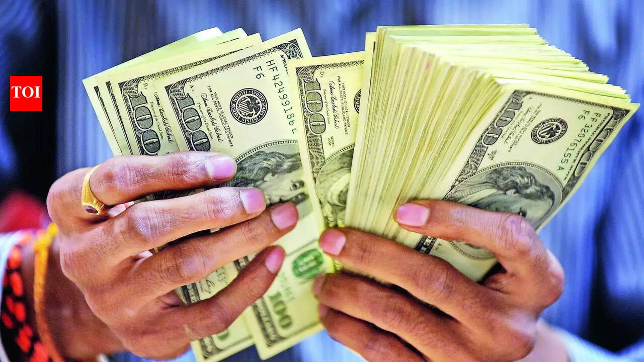 Tech startup funding falls 17% to $10.5 billion this year - The Times of  India