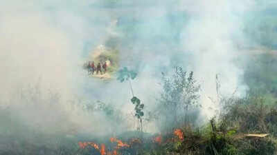 From ashes to haze: How daily garbage burning continues to fuel Delhi’s toxic air; 11 complaints logged daily