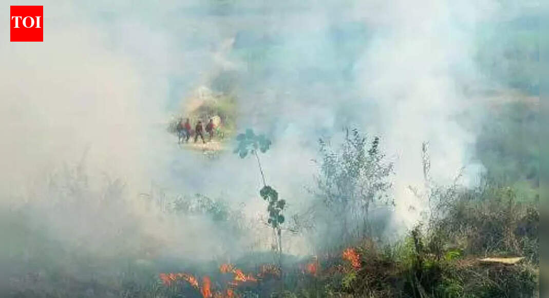 From ashes to haze: How daily garbage burning continues to fuel Delhi’s toxic air