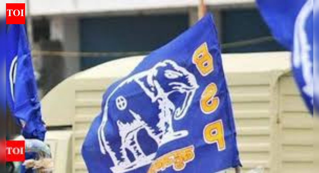 Punjab rural polls: BSP wins 3 zila parishad, 28 panchayat samiti seats in Doaba