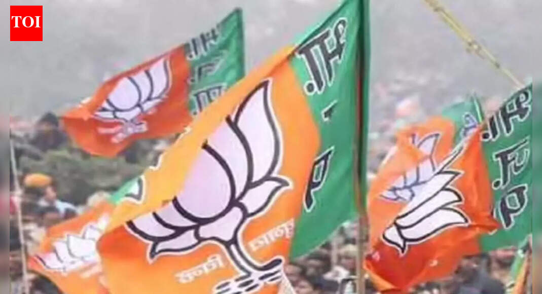 Punjab rural polls: BJP gets 1 vote in Bhagwant Mann's village