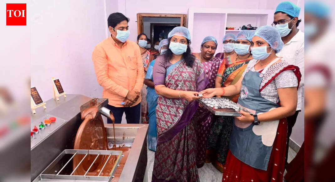 West Godavari tops public positive perception rankings, CM praises collector Nagarani at Amaravati conference