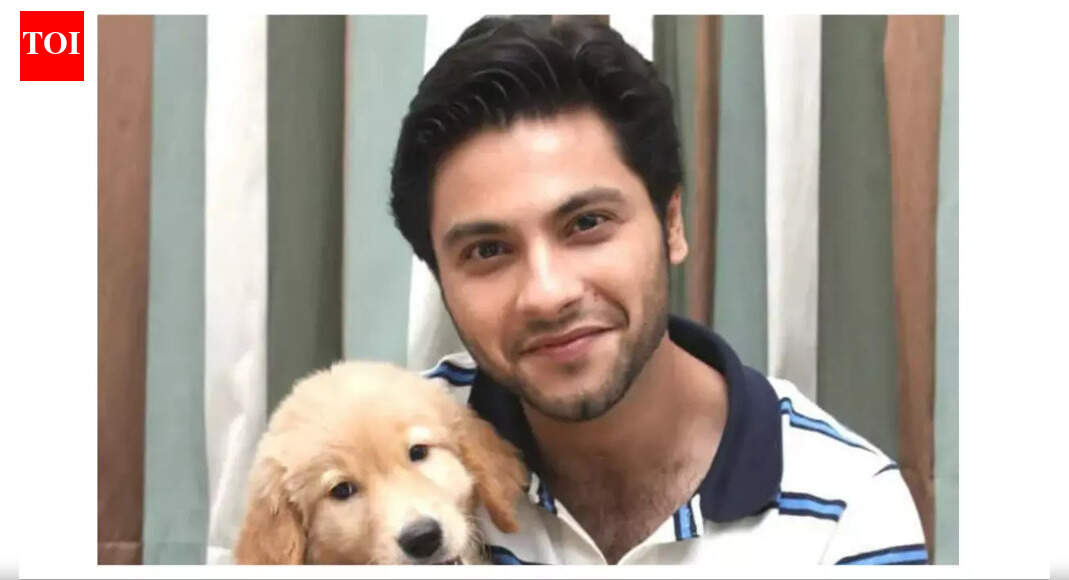 Mishal Raheja: There’s no plan right now to come back to TV
