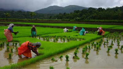 FAIFA proposes a four-pronged strategy for transition of Indian agriculture