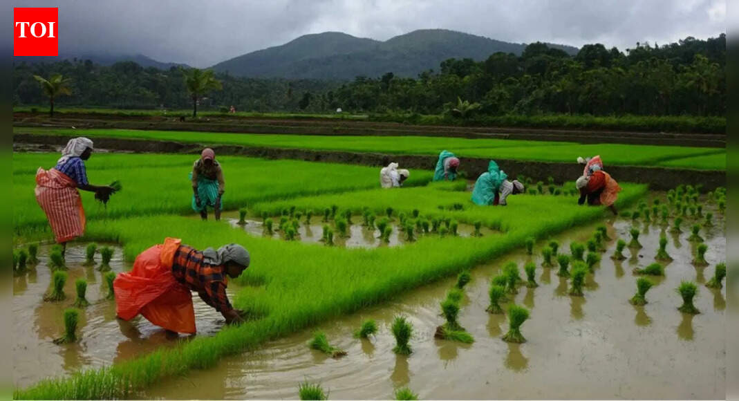 FAIFA proposes a four-pronged strategy for transition of Indian agriculture