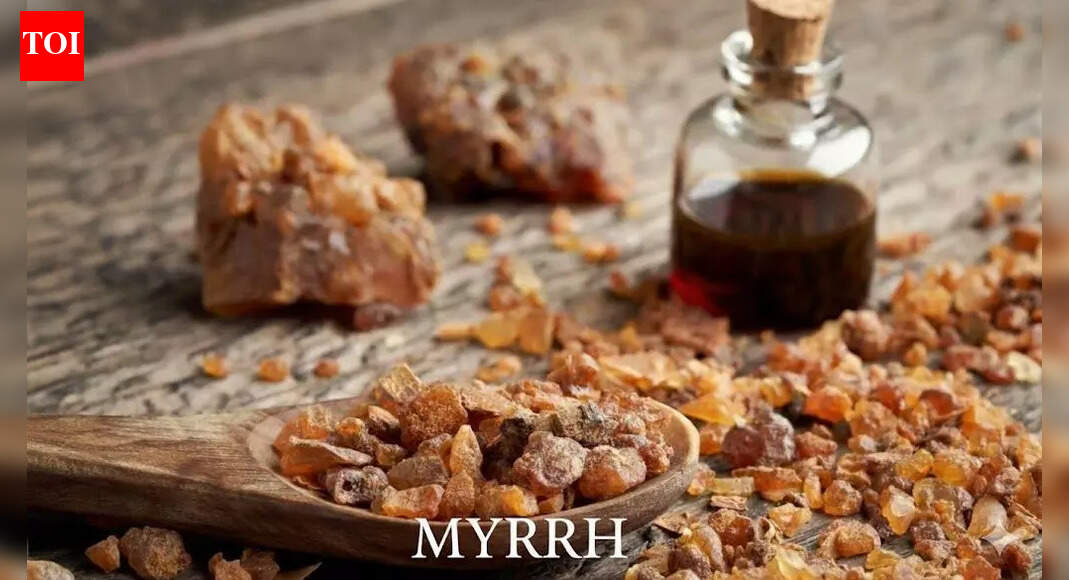 What does myrrh mean? Etymology, origin, and weight of an ancient word
