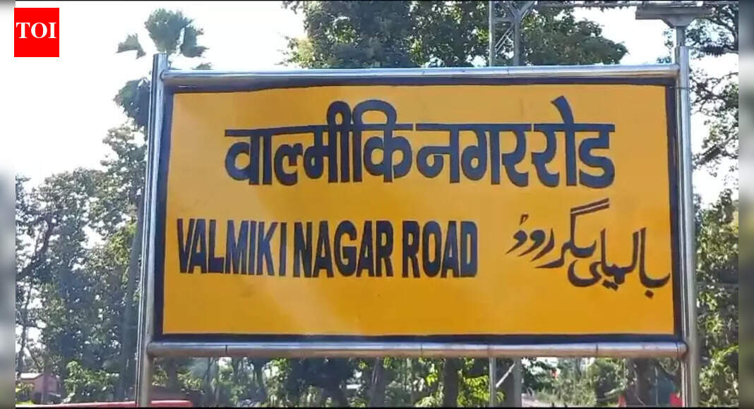 Buffalo on tracks halts train for over two hours