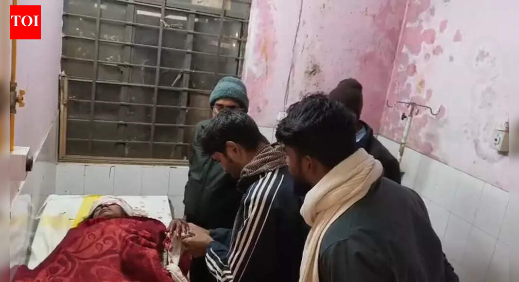 Girl injured after being attacked by bear in West Champaran