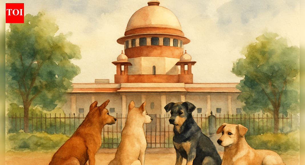 Judicial Overreach On Four Legs