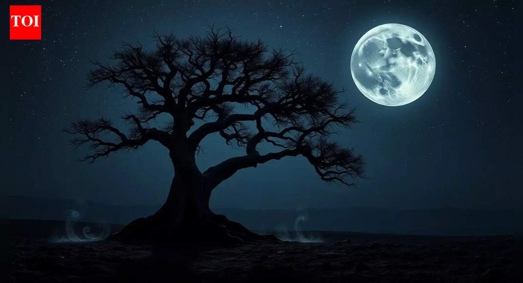 Moon Phase Today (December 22, 2025): Daily Affirmations and Manifestation Guide and For All Zodiac Signs