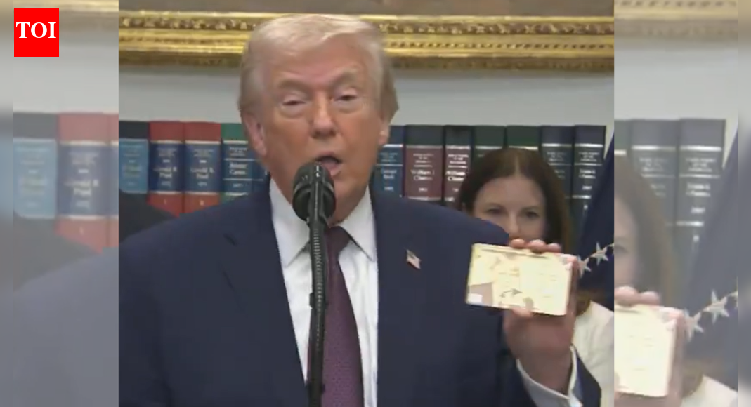 'Green card on steroids': Trump unveils $1 million 'Gold Card' immigration visa – video