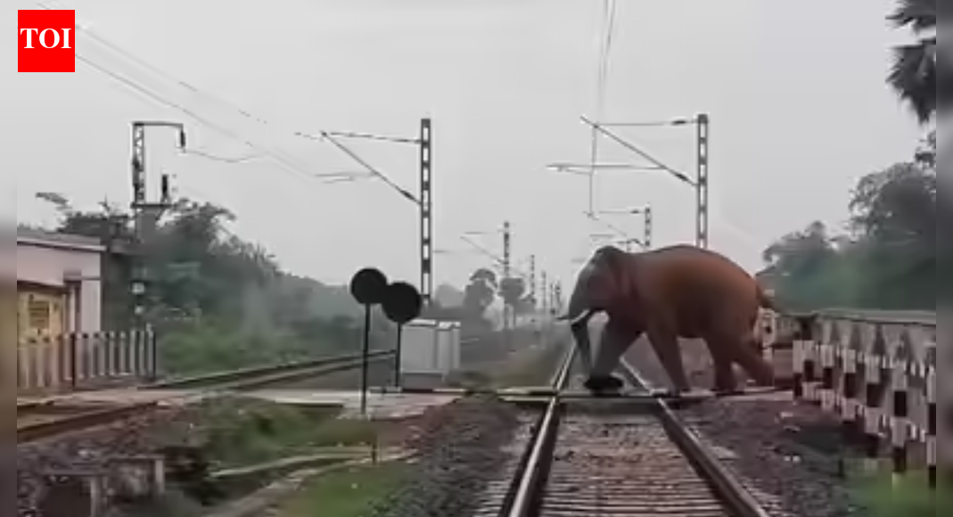 Assam tragedy: Rajdhani Express hits herd of elephants, killing 8; engine, 5 coaches derail