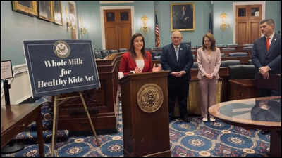 Elise Stefanik exits politics: Donald Trump’s ally quits New York governor race — but why?