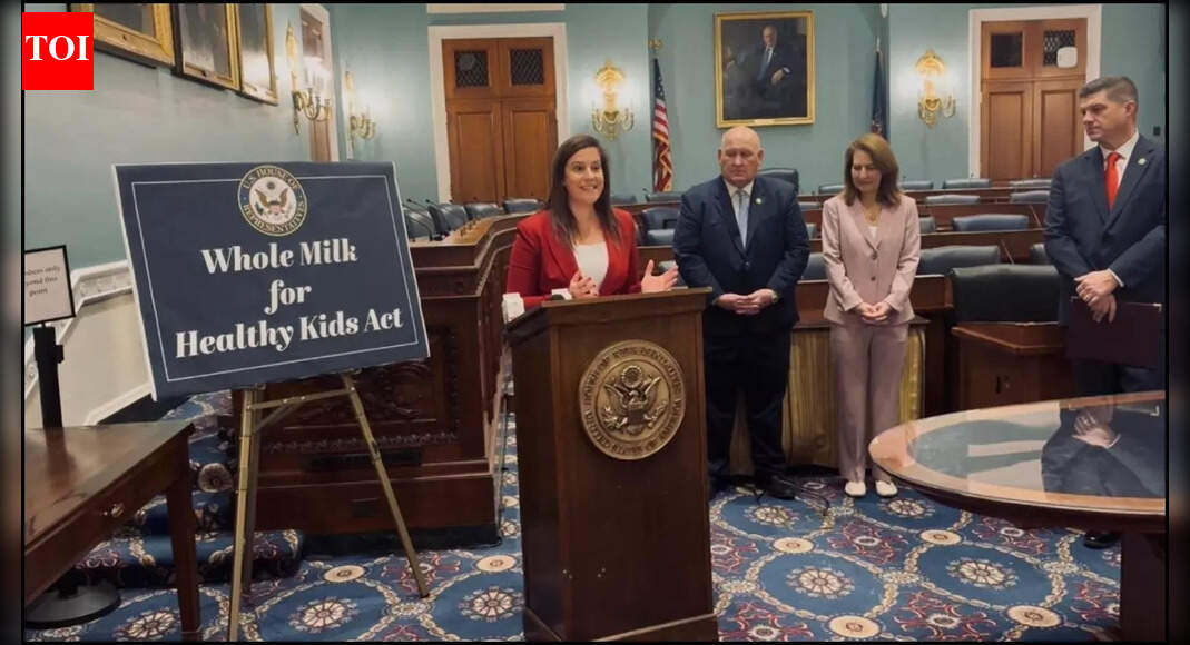 Elise Stefanik exits politics: Donald Trump’s ally quits New York governor race — but why?