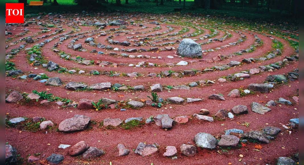 India's largest circular labyrinth unearthed in Maharashtra's Boramani grasslands; what we know so far