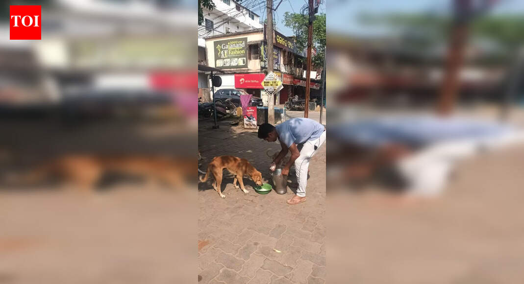 Lineman feeds stray dogs daily in Rourkela: A heartwarming mission