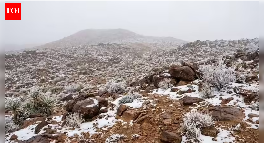 Rare snowfall turns Saudi Arabia’s desert mountains winter white — watch videos