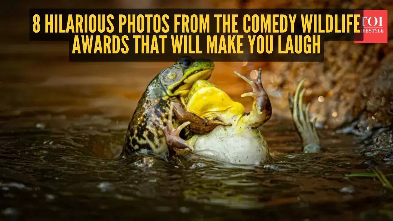Hilarious Pictures That Make You Laugh