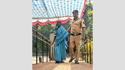 In Pernem, where ‘unity is for show’, BJP ticket the final prize