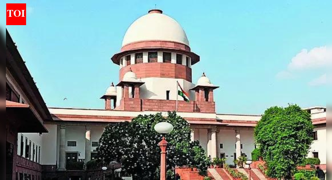 Supreme Court: Criminal record, gravity of offence key in deciding bail