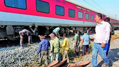 Elephant deaths intensify calls for notified corridors