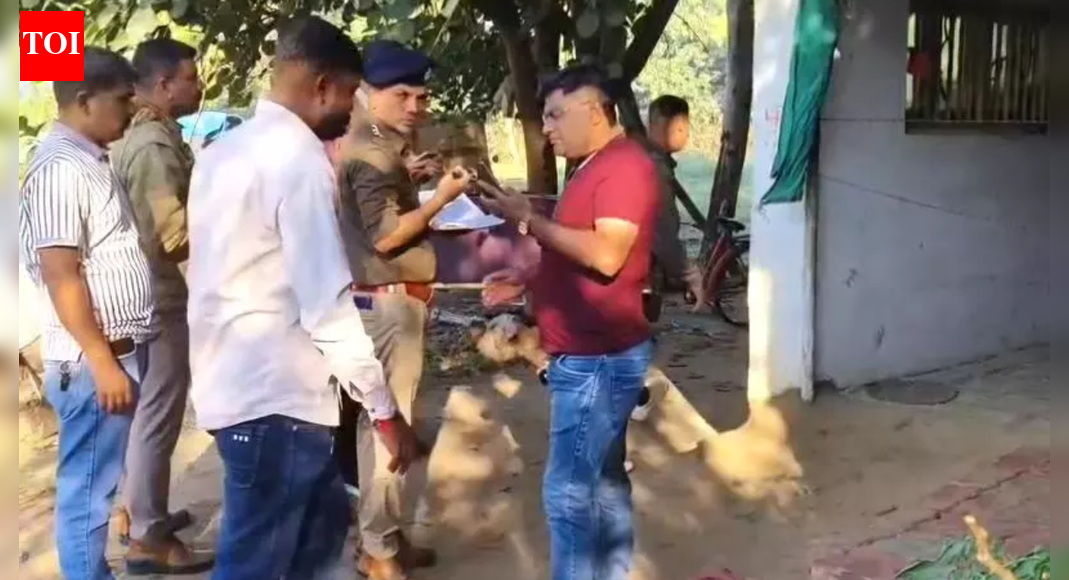 'Sleeping pills, 3rd attempt': How teen plotted father’s murder with lover in Gujarat; watched him getting stabbed repeatedly