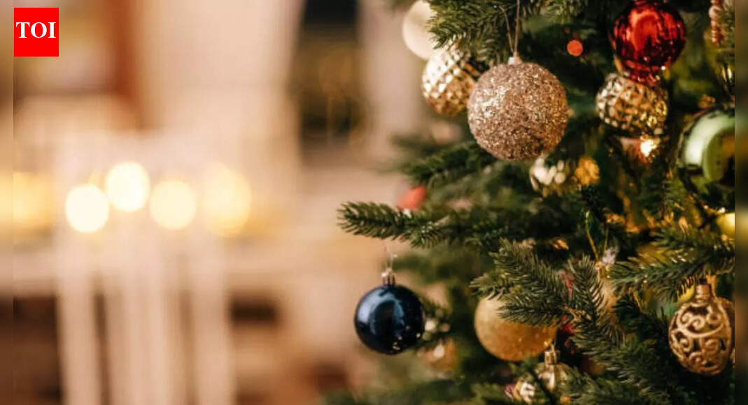 Christmas 2025: Top 5 budget-friendly destinations you can travel to with your kids this Christmas