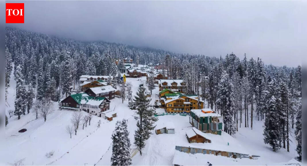 Holiday travel faces hurdles with dense fog, snowfall and cold day condition; IMD warns of winter disruptions