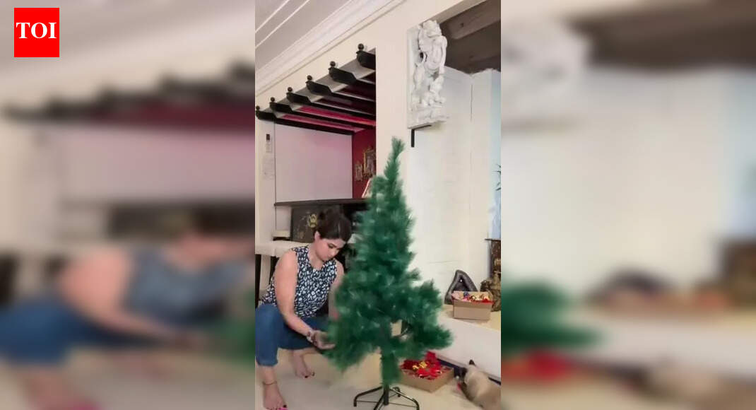 Shamita Shetty kicks off Christmas decorations with her adorable cats by her side