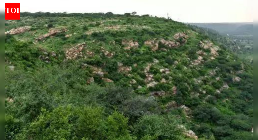 'Part of our identity, culture': Tribal communities pledge to save Aravallis