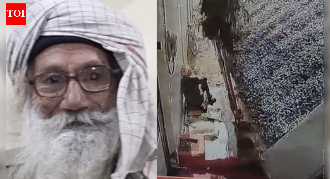 Video: Sitting outside home, 92-year-old killed as gravel dumper overturns on him in MP