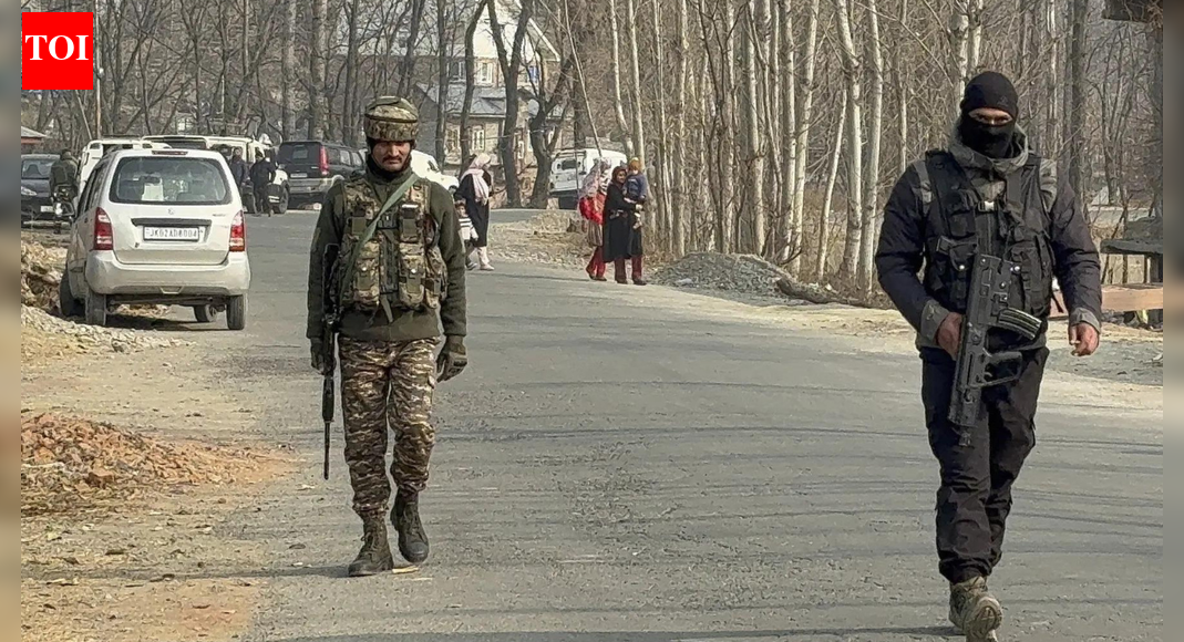 J&K: Terrorists take food from village house to forest; search operation launched