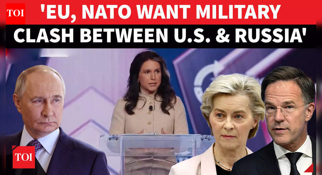 U.S. Openly Names &amp; Shames Europe; 'EU &amp; NATO Want Direct Russia-America War' | Tulsi Gabbard Speech