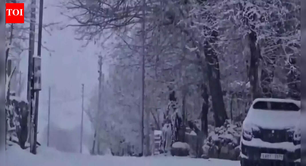Leh turns white: First snowfall blankets town; minimum temperature plunges to -2°C