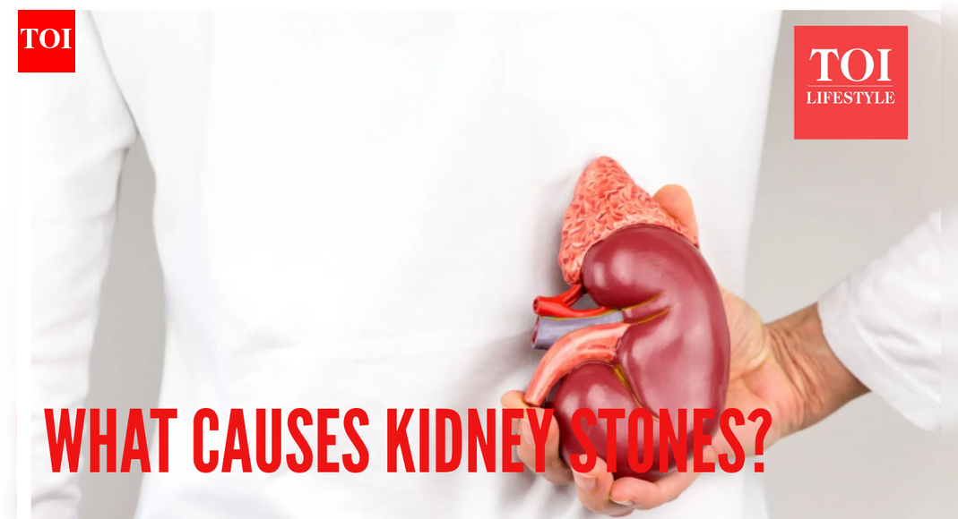 More than lack of water: What actually causes Kidney Stones, and how are they treated