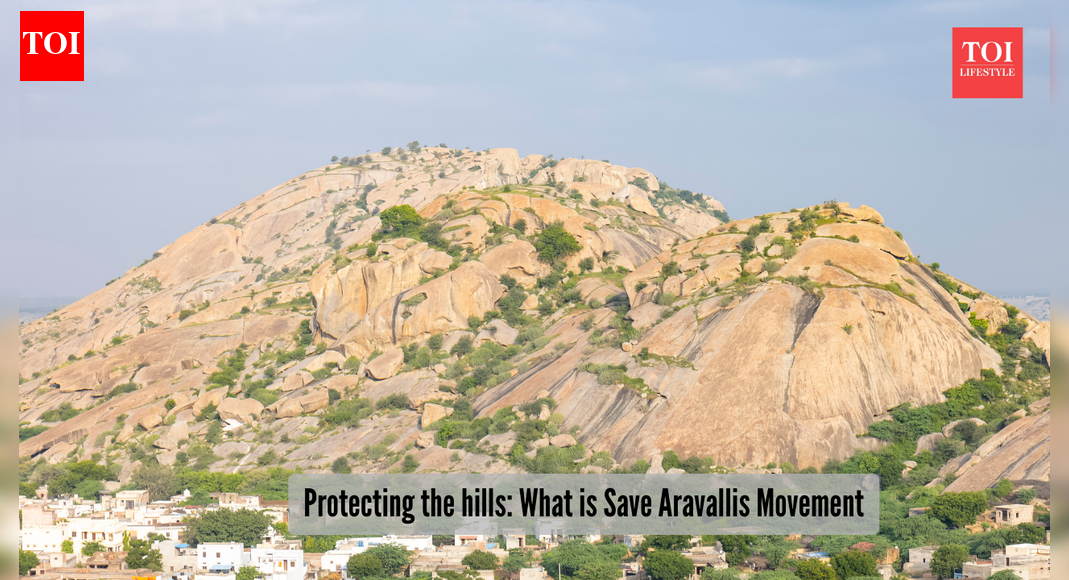 What is the Save Aravallis Movement, and why is it necessary to protect the hills of Northern India?