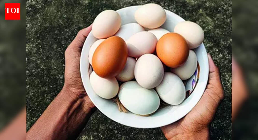 'Eggs in India safe for consumption': FSSAI rejects cancer risk claim; explains how
