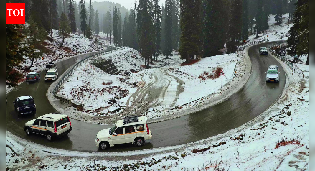 North India shivers from intense cold, relief unlikely in 48 hours