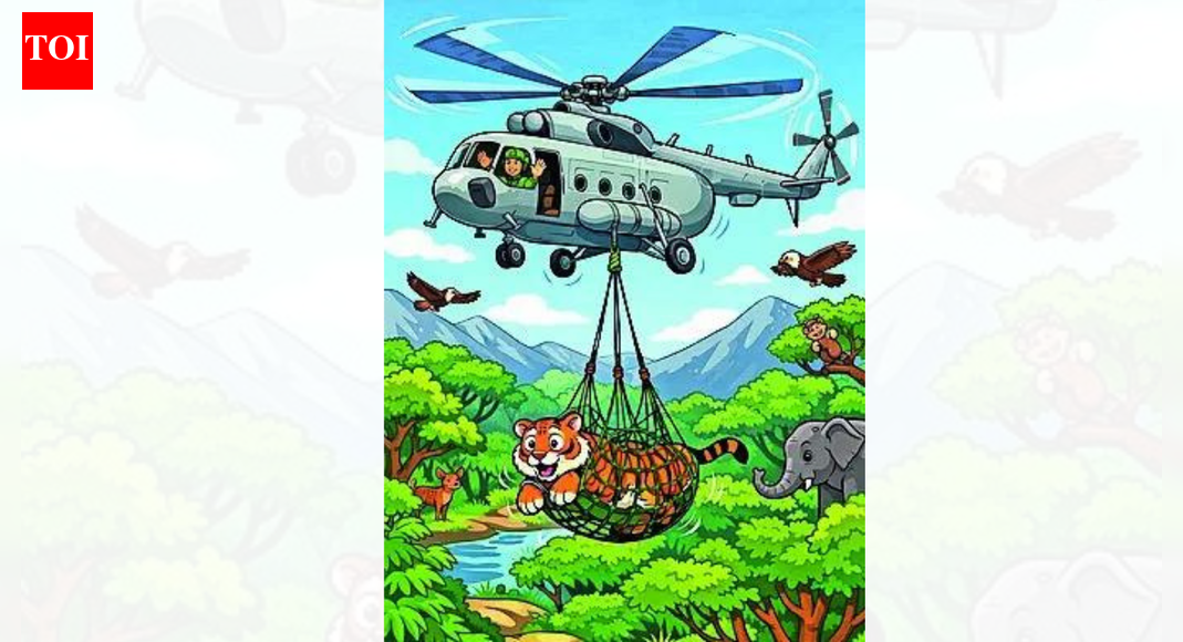 IAF airlifts tigress from Pench to Ramgarh Vishdhari