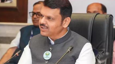 Mahayuti sweeps Phase 1 of Maharashtra local body polls