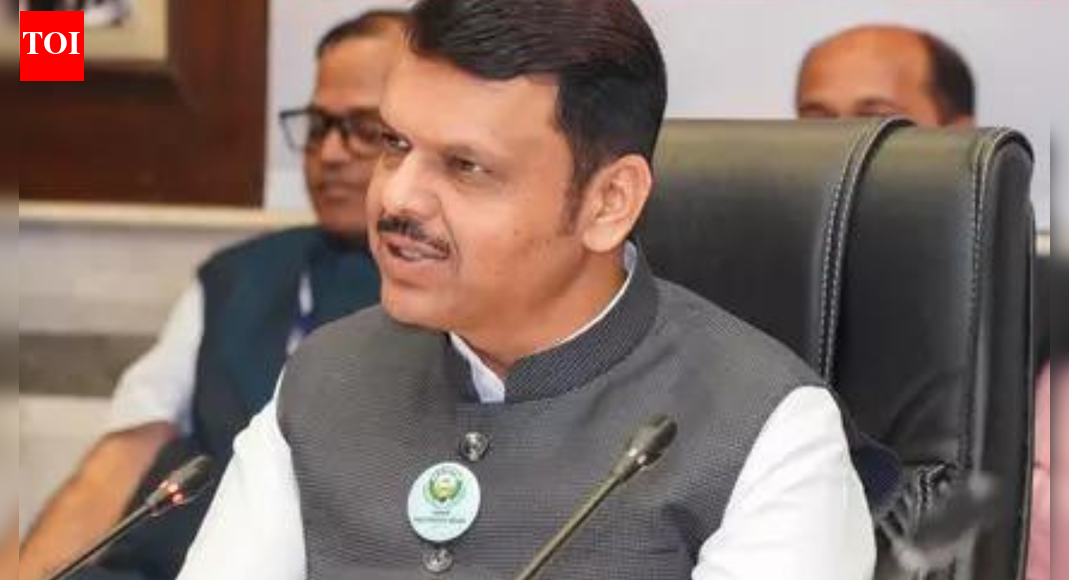 Mahayuti sweeps Phase 1 of Maharashtra local body polls