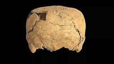  Cube-shaped skull found in Mexico reveals shocking ancient cultural practice