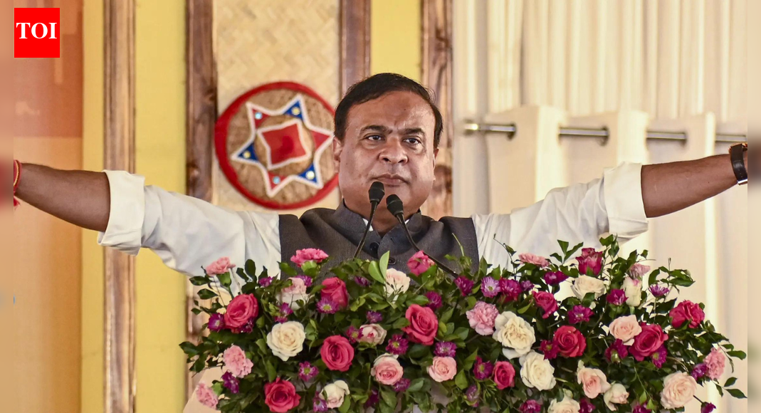 Assam cops, BSF push 19 illegals into Bangladesh