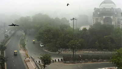Numbers make you breathe easier? Delhi AQI improves to 377 as winds push it out of ‘severe’ zone