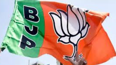  BJP fields 6 members from 1 clan in Loha; ‘family pack’ strategy flops as NCP wins