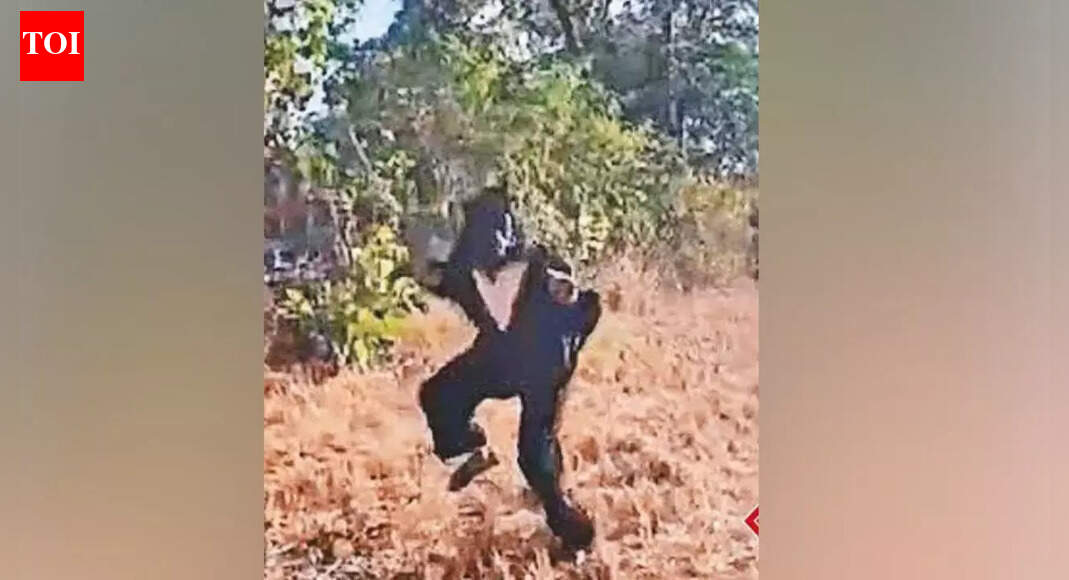 Sarpanch gets to ‘monkey business’: Newly elected Telangana leader dons bear costume to tackle village monkey menace