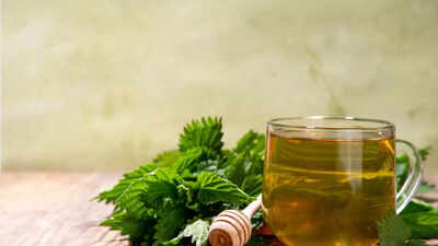 புரோஸ்டேட் ஆரோக்கியம்: இந்த மூலிகை பானம் அடிக்கடி சிறுநீர் கழிக்க மற்றும் சிறுநீர்ப்பை வசதிக்கு உதவும்; யார் தவிர்க்க வேண்டும் மற்றும் எப்படி தயார் செய்ய வேண்டும் என்பதை அறிந்து கொள்ளுங்கள்